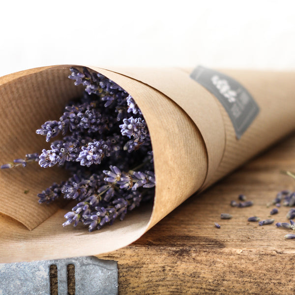 Dried Lavender Bunch - Rose and Ammi Flowers Edinburgh florist