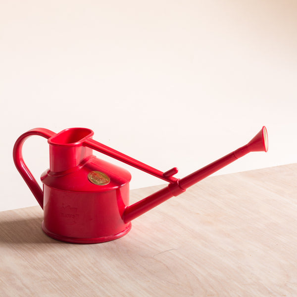 Haws 0.7L plastic watering can - red - Rose and Ammi Flowers Edinburgh florist