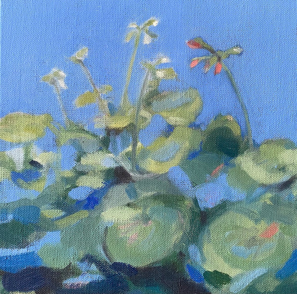 Painting by Amelia McComb - Geranium Buds