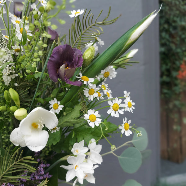 Seasonal spring flowers edinburgh