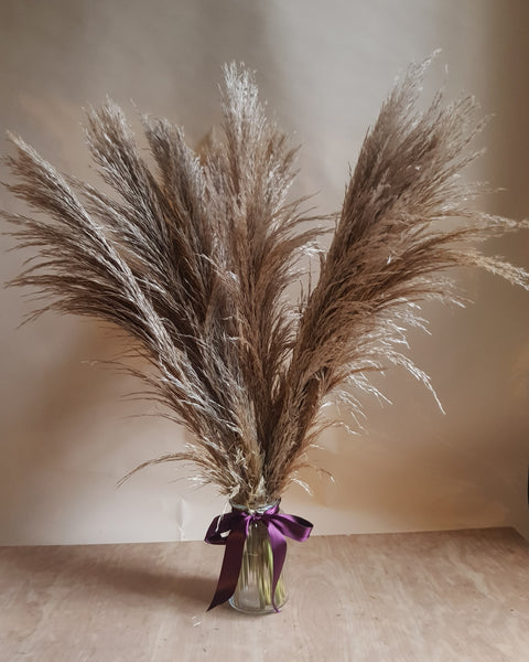Dried flowers - bunch of pampas grass with vase - local delivery only - Rose and Ammi Flowers Edinburgh florist