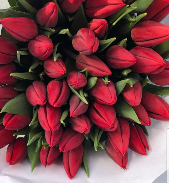 Valentine's Day British tulip bouquet- available Sunday 12th to collect or 13th-24th delivery or collection - Rose and Ammi Flowers Edinburgh florist