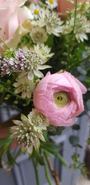 Pink Rose Bouquet - Rose and Ammi Flowers Edinburgh florist