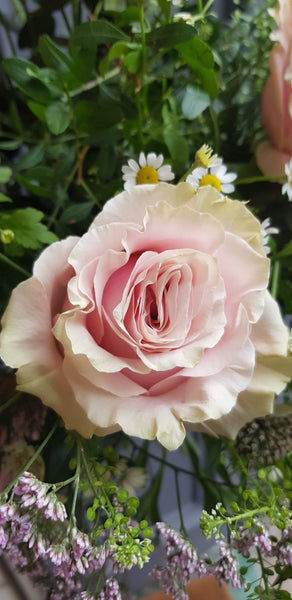 Pink Rose Bouquet - Rose and Ammi Flowers Edinburgh florist