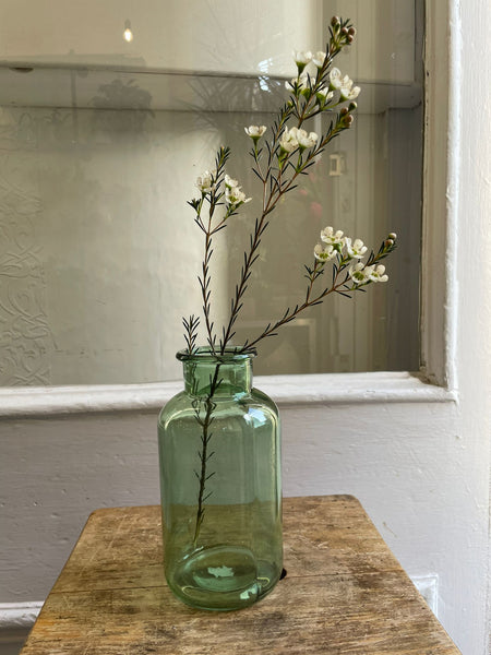 Simple green glass vase - small - Rose and Ammi Flowers Edinburgh florist
