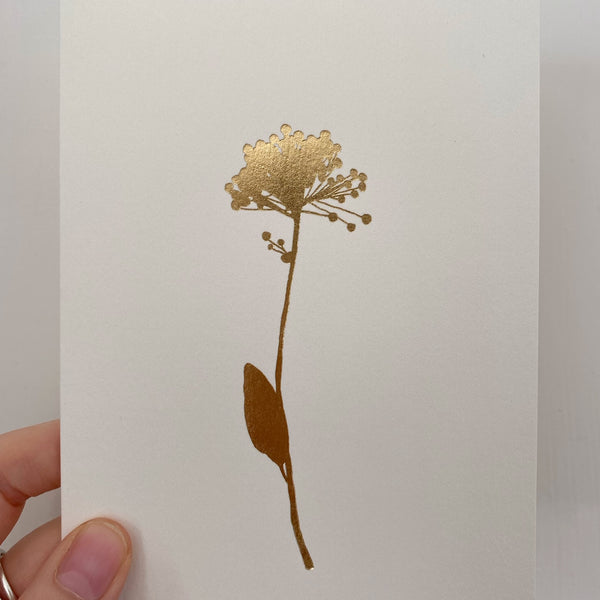 Ola Studio Card - Rose and Ammi Flowers Edinburgh florist