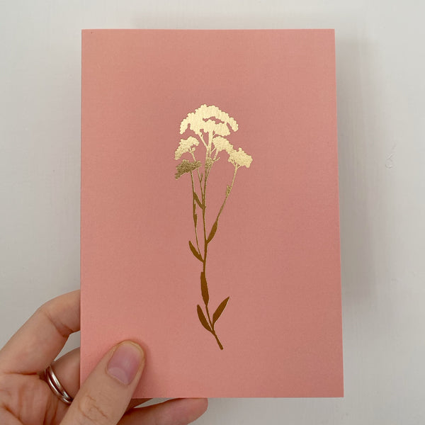 Ola Studio Card - Rose and Ammi Flowers Edinburgh florist