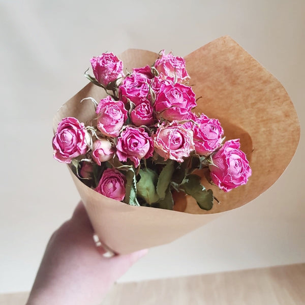 Dried flowers - bunch of Spray Roses - Rose and Ammi Flowers Edinburgh florist