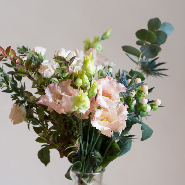 Posy - Rose and Ammi Flowers Edinburgh florist