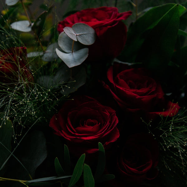 Classic Red Rose - Rose and Ammi Flowers Edinburgh florist