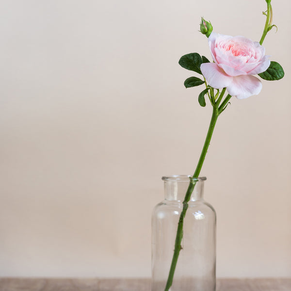 Simple Glass Vase - Small - Rose and Ammi Flowers Edinburgh florist